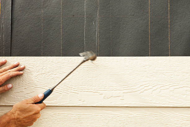 Best Steel Siding Installation  in Bellwood, IL